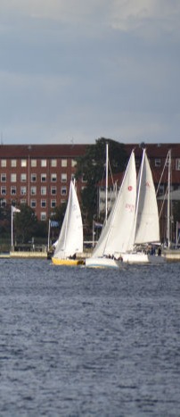 FLIDS hjemmeside