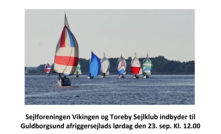 FLIDS hjemmeside