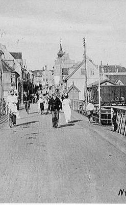 FLIDS hjemmeside